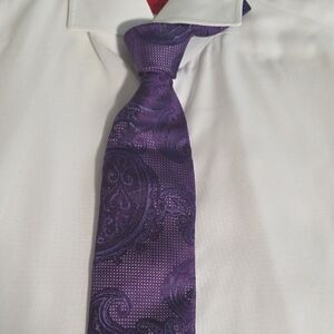 Ermenegildo Zegna Deep Purple Silk Tie